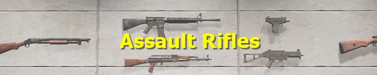 PUBG Assault Rifles (AR)