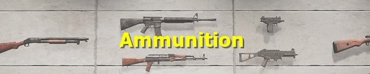 PUBG Ammunition List