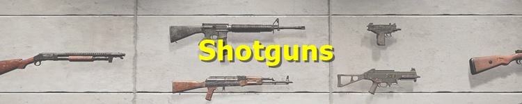 PUBG Shotguns