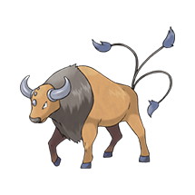 How to find Tauros