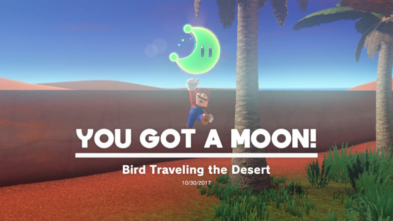 Bird Traveling the Desert