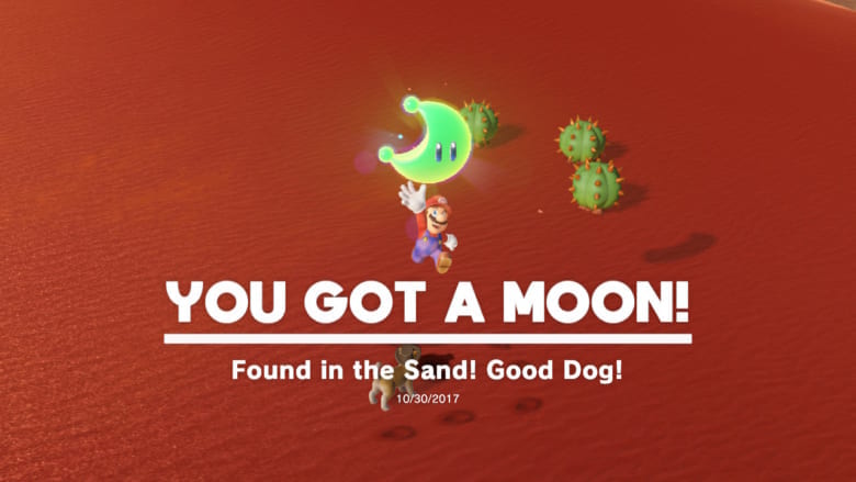 Found in the Sand! Good Dog!
