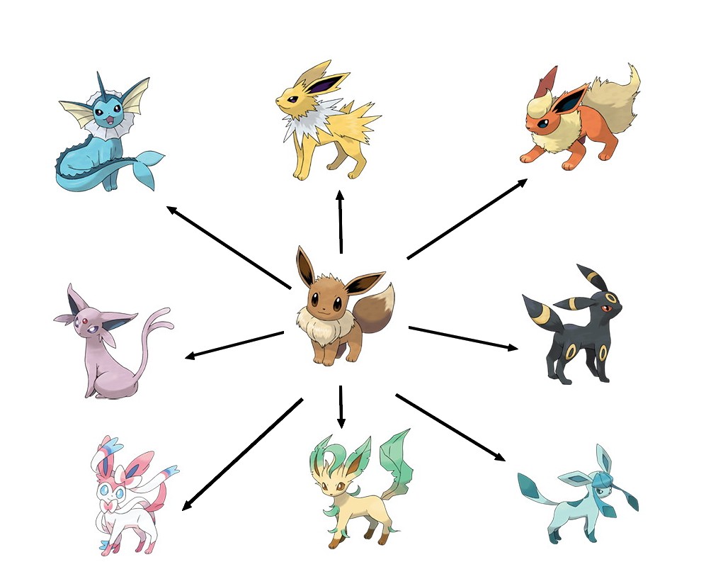 Eevee evolutions  Pokemon eevee evolutions, Pokemon eeveelutions