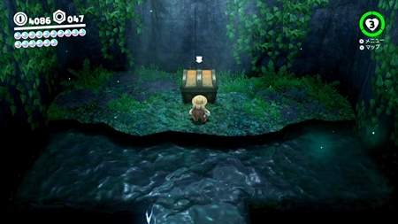 Wooded Kingdom, Nintendo