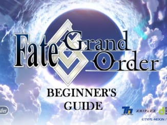 Fate Grand Order Beginner's Guide