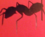 Catherine: Full Body - Ants