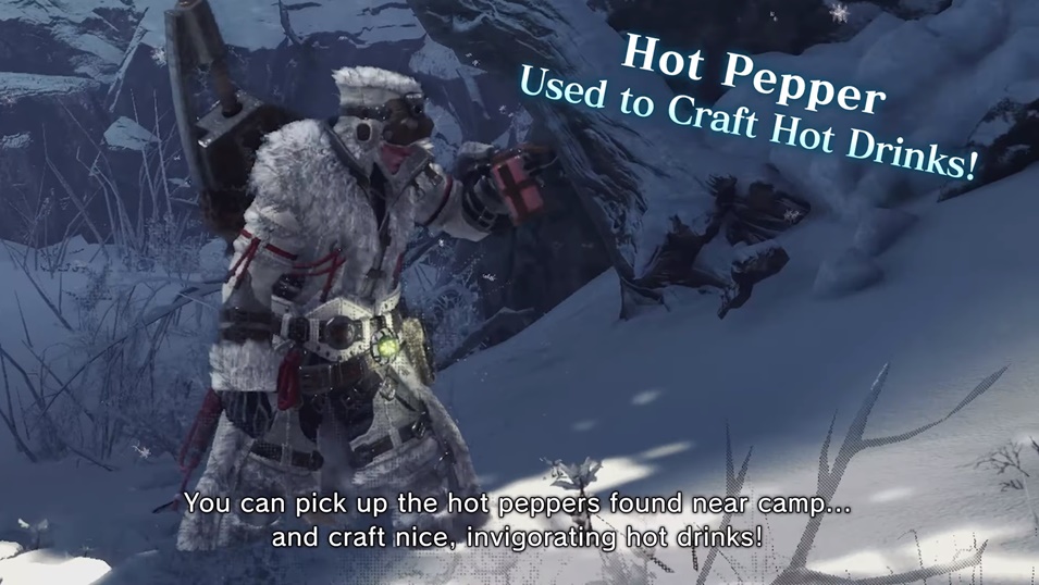 MHW Iceborne Tour with the Handler