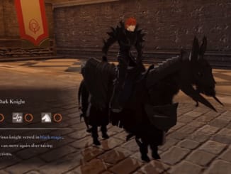 Fire Emblem: Three Houses - Dark Knight Class