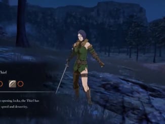 Fire Emblem: Three Houses - Thief Class