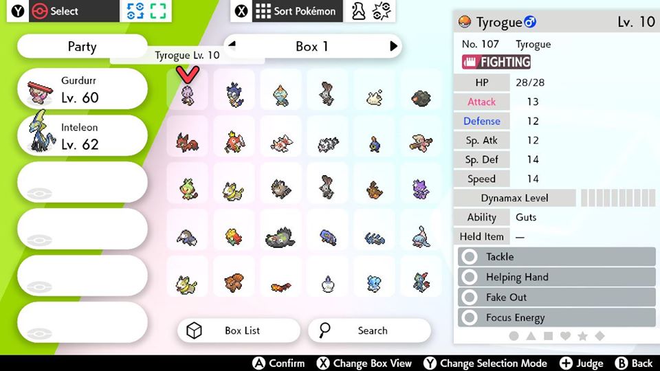 Pokémon Sword and Shield guide: How to check EVs and IVs - Polygon