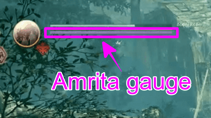 Amrita gauge