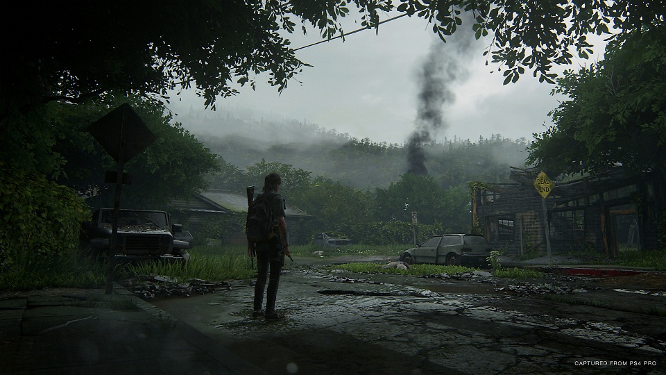 The Last of Us 2 - New Game Plus