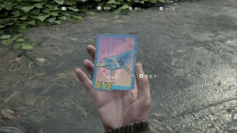 The Last of Us 2 - Training Card - Big Blue