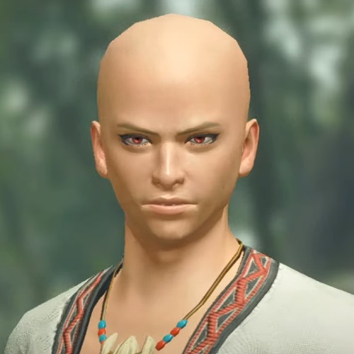 Monster Hunter Rise - Male Character Hair Style 23