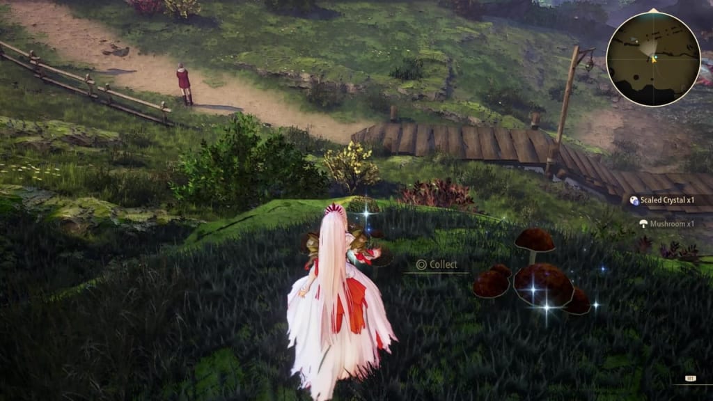 Tales of Arise - Plant Location 2