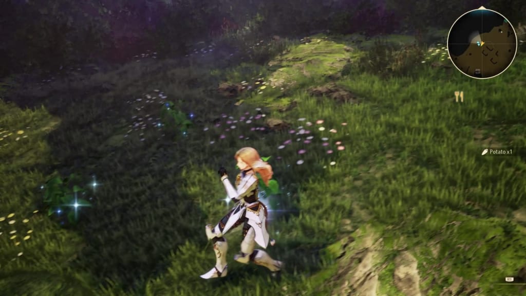 Tales of Arise - Plant Location 9