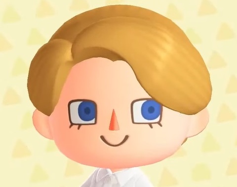 Animal Crossing: New Horizons - Hairstyles by Harriet 5