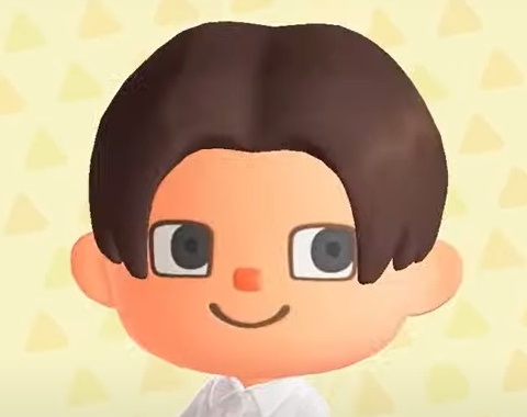 Animal Crossing: New Horizons - Top 4 Fab Hairstyles 2