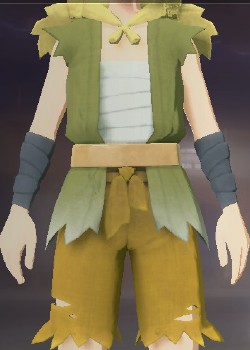 Pokemon-Legend Arceus Bandit Outfit