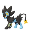 Pokemon Scarlet and Violet - Luxray