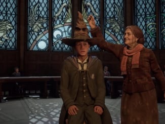 Hogwarts Legacy - Sorting Hat