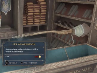 Hogwarts Legacy - Yew Weaver Broom