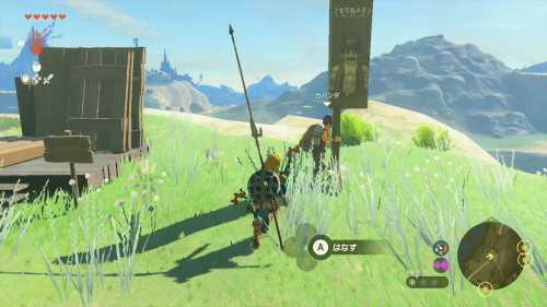 The Legend of Zelda Tears of the Kingdom - Addison Signboard Location 3 In Game