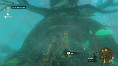 The Legend of Zelda: Tears of the Kingdom - How to Unlock Deku Tree
