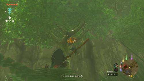 The Legend of Zelda Tears of the Kingdom - How to Get Honey in Kakariko Village 2