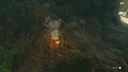 The Legend of Zelda: Tears of the Kingdom - Pot on Bonfire 2