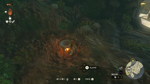 The Legend of Zelda: Tears of the Kingdom - Pot on Bonfire