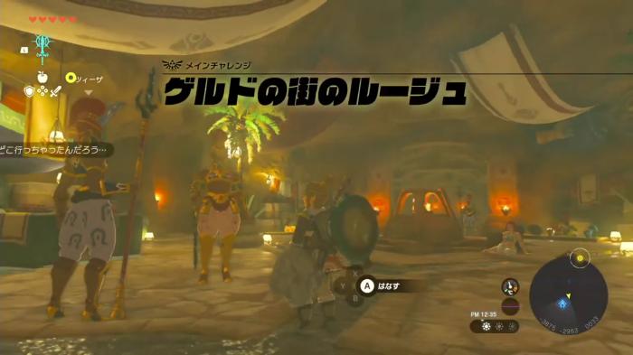 The Legend of Zelda: Tears of the Kingdom - Riju of Gerudo Town 