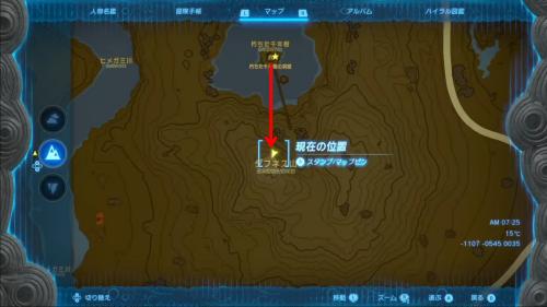 The Legend of Zelda: Tears of the Kingdom Ancient Tree Stump Enlarged Map