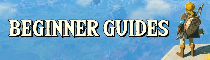 The Legend of Zelda: Tears of the Kingdom - Beginner Guides Banner