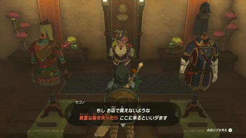 The Legend of Zelda: Tears of the Kingdom - Hateno Village Cece Shop Clear Rewards