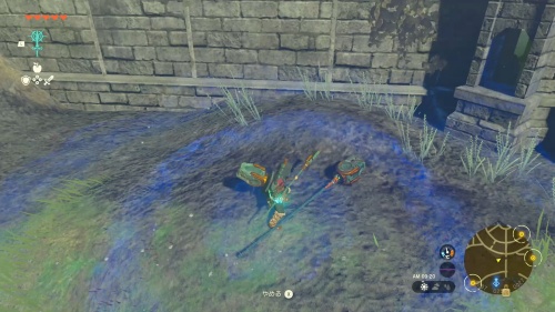 The Legend of Zelda: Tears of the Kingdom Notes on Fuse