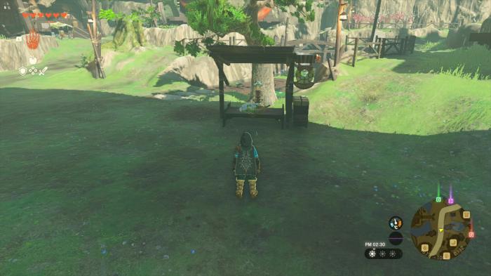 The Legend of Zelda: Tears of the Kingdom Koko's Location (Detailed)