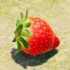 Pikmin 4 - Sunseed Berry Treasure