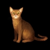 SaGa: Emerald Beyond (SaGa: EB) - Abyssinian (Kitty Collector)