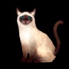 SaGa: Emerald Beyond (SaGa: EB) - Balinese (Kitty Collector)