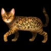 SaGa: Emerald Beyond (SaGa: EB) - Bengal (Kitty Collector)