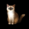 SaGa: Emerald Beyond (SaGa: EB) - Birman (Kitty Collector)