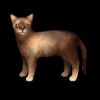 SaGa: Emerald Beyond (SaGa: EB) - Burmese (Kitty Collector)