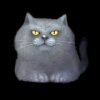 SaGa: Emerald Beyond (SaGa: EB) - Chartreux (Kitty Collector)