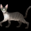 SaGa: Emerald Beyond (SaGa: EB) - Cornish Rex (Kitty Collector)