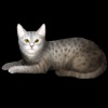 SaGa: Emerald Beyond (SaGa: EB) - Egyptian Mau (Kitty Collector)