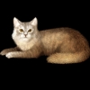 SaGa: Emerald Beyond (SaGa: EB) - La Perm (Kitty Collector)