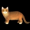 SaGa: Emerald Beyond (SaGa: EB) - Munchkin (Kitty Collector)
