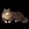 SaGa: Emerald Beyond (SaGa: EB) - Norwegian (Kitty Collector)