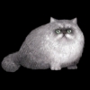 SaGa: Emerald Beyond (SaGa: EB) - Persian (Kitty Collector)